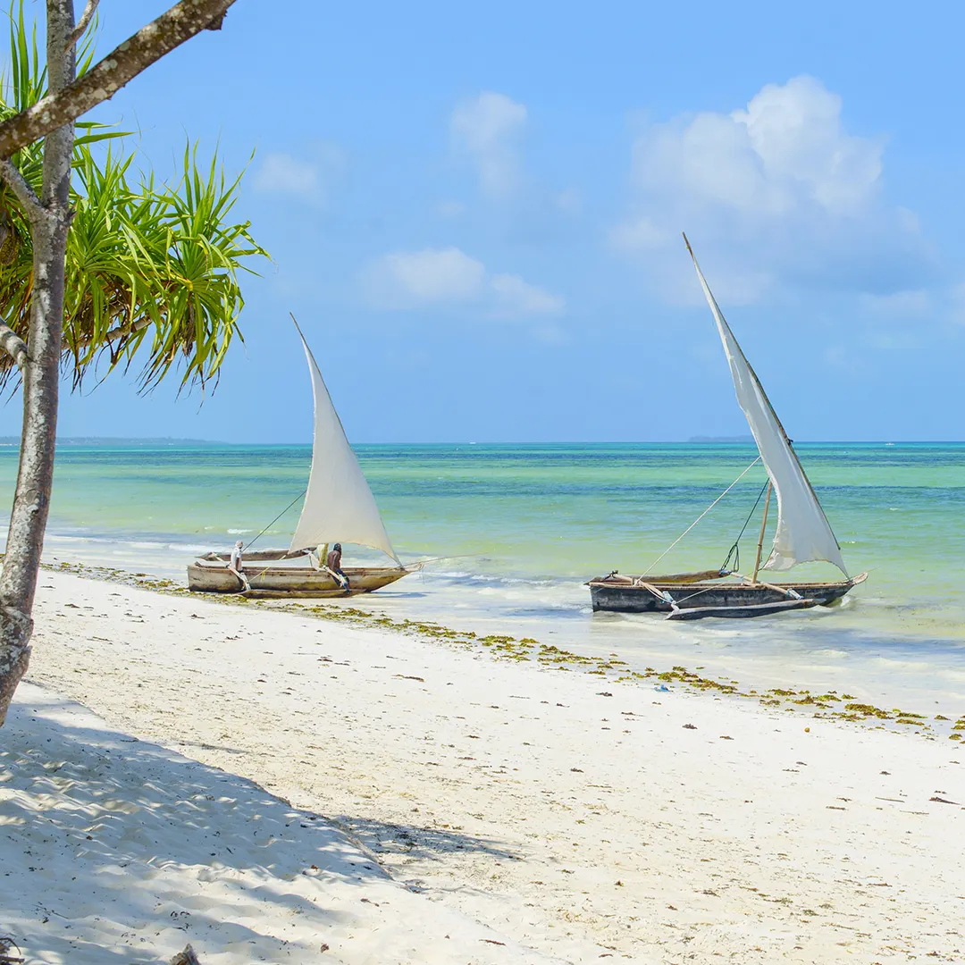 Boats on a shore